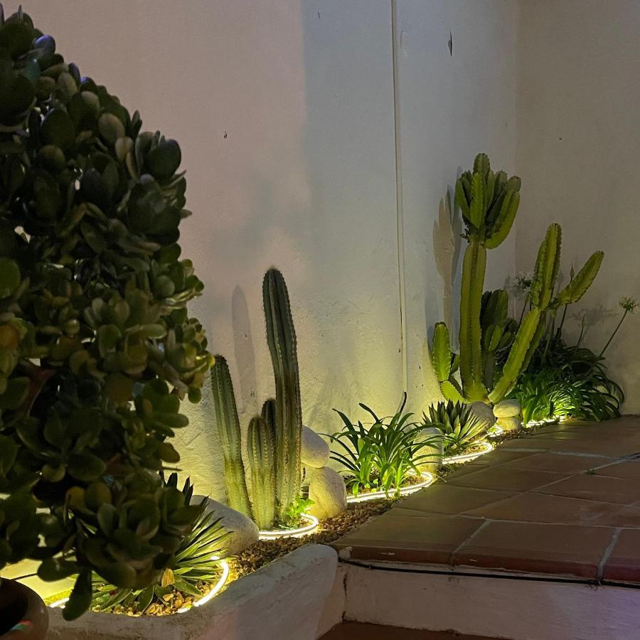 Terra Aloe Hotel ตอร์เรโมลิโนส ภายนอก รูปภาพ